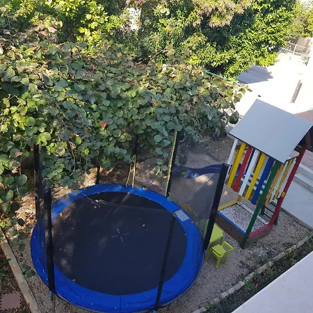 Tea T * 比奥格勒·纳·莫鲁