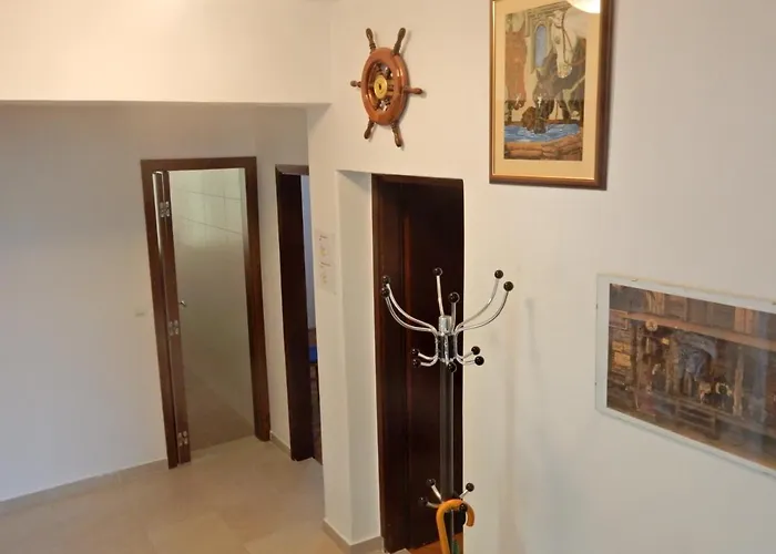 Tea T ビオグラード・ナ・モル